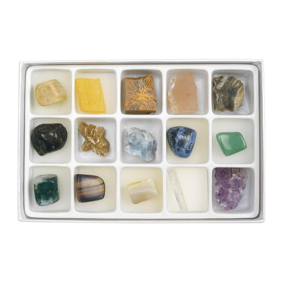 Excellerations Exploration Scientifique Spécimens de Roches Lot de 15, Jouet Éducatif STEM, Préscolaire, Jouets pour Enfants (Article ROCKBOX)