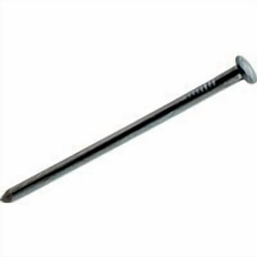 Grip-Rite 8D 2-1/2 in. Common Bright Steel Nail Flat Head 50 lb