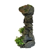 Underwater Treasures Boulder Arch