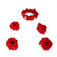 thumbnail image 3 of 5PCS Christmas Dog Collar Cute Pet Collar Puppy Collar with Bells & Leg Sleeve, 3 of 10