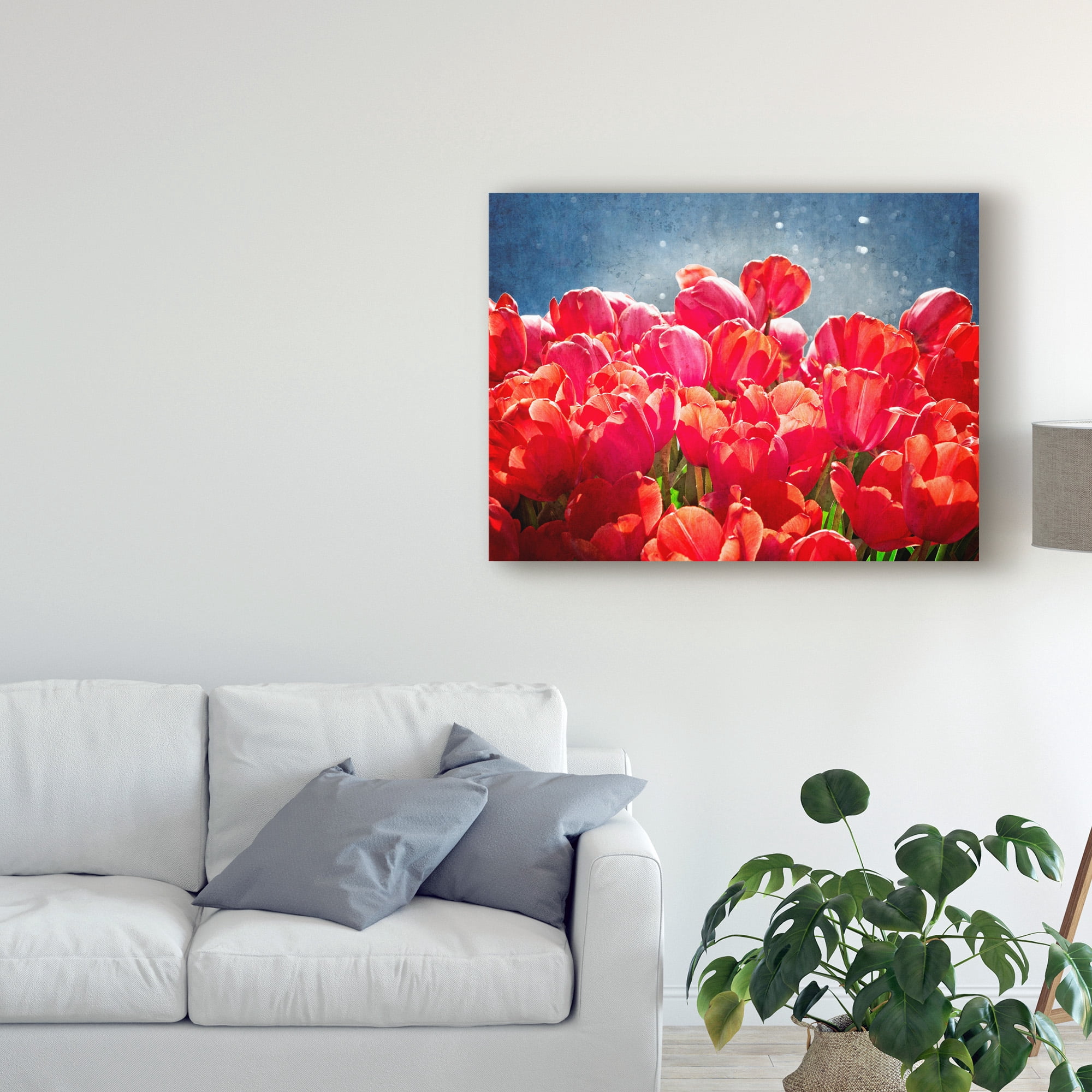 Trademark Fine Art 'Fuchsia Tulips I' Canvas Art by Rachel Perry
