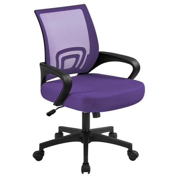 Executive Office Desk Chair Ergonomic Mesh Back Office Chair Adjustable Work Chair with Lumbar Support and Swivel Rolling Wheels for Home Office Conferecne Roon and Study,