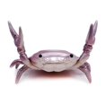 thumbnail image 1 of Cangrejo Pen Holder Levantamiento de pesas Cangrejos Pen Holder Rack Bracket Decor, 1 of 2