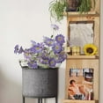 thumbnail image 4 of Summer Chrysanthemum Flower Stem in Purple 23.6" Tall, 4 of 7