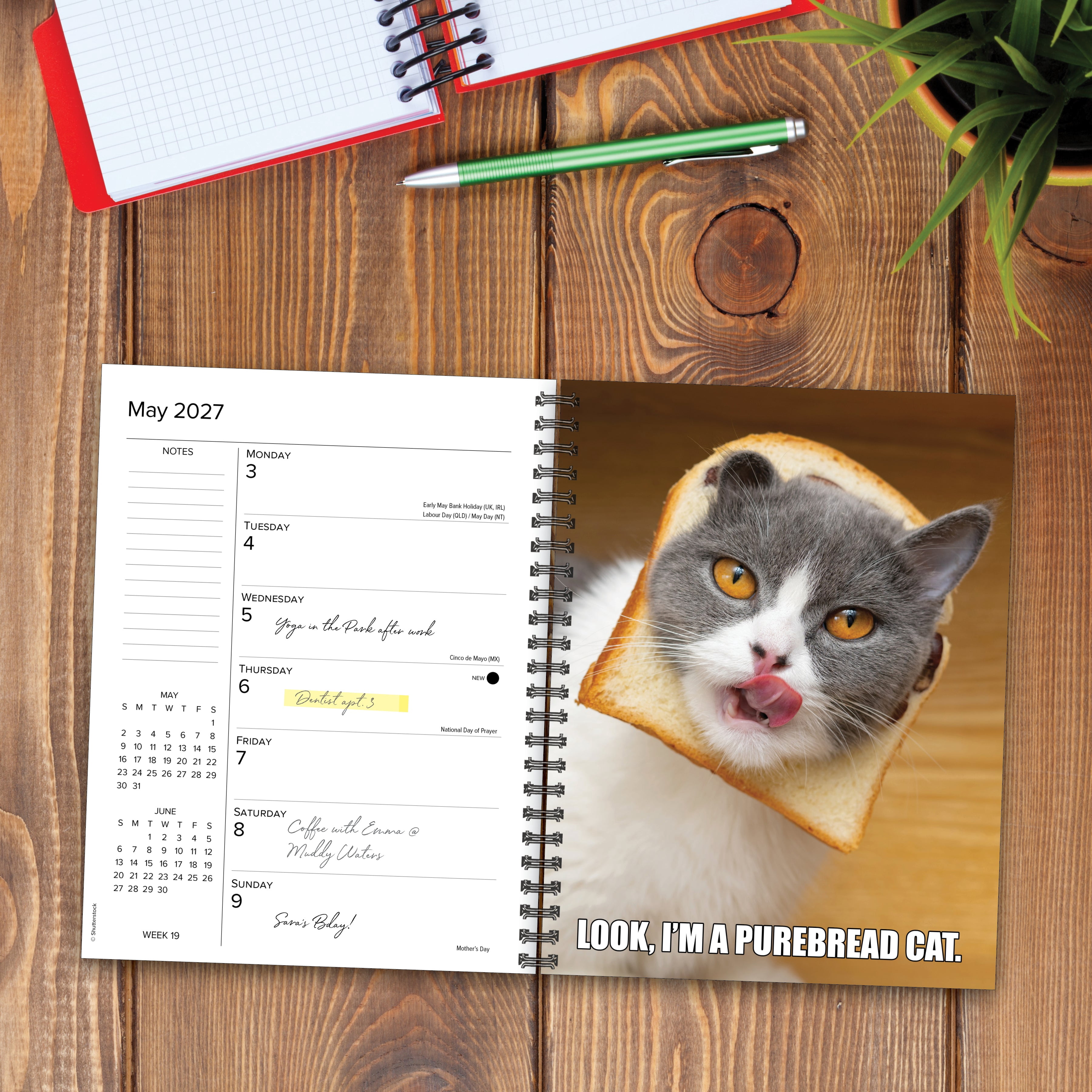 Willow Creek Press, Cat-astrophe 2027 Engagement Calendar