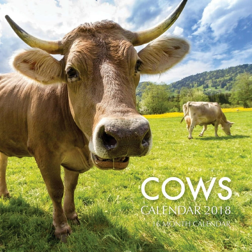 cows-calendar-2018-16-month-calendar-paperback-walmart-walmart
