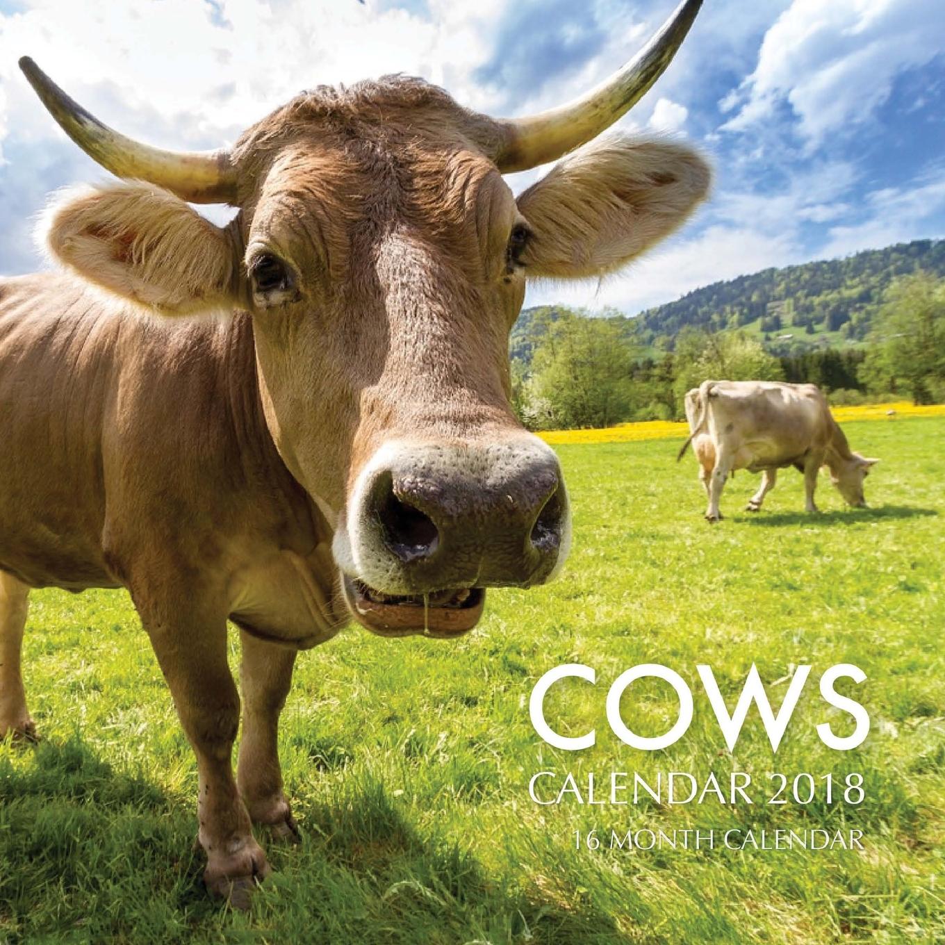 Cows Calendar 2018 16 Month Calendar Paperback Walmart Cows Calendar 2018 16 Month Calendar Paperback Walmart