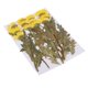 thumbnail image 1 of Crisantemo Secas Reales Naturales Sunnimix 12 Piezas con Hojas Secas Amarillo, 1 of 8