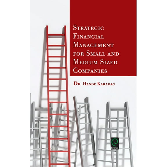 Strategic Financial Management for Small and Medium Sized Companies (Hardcover)