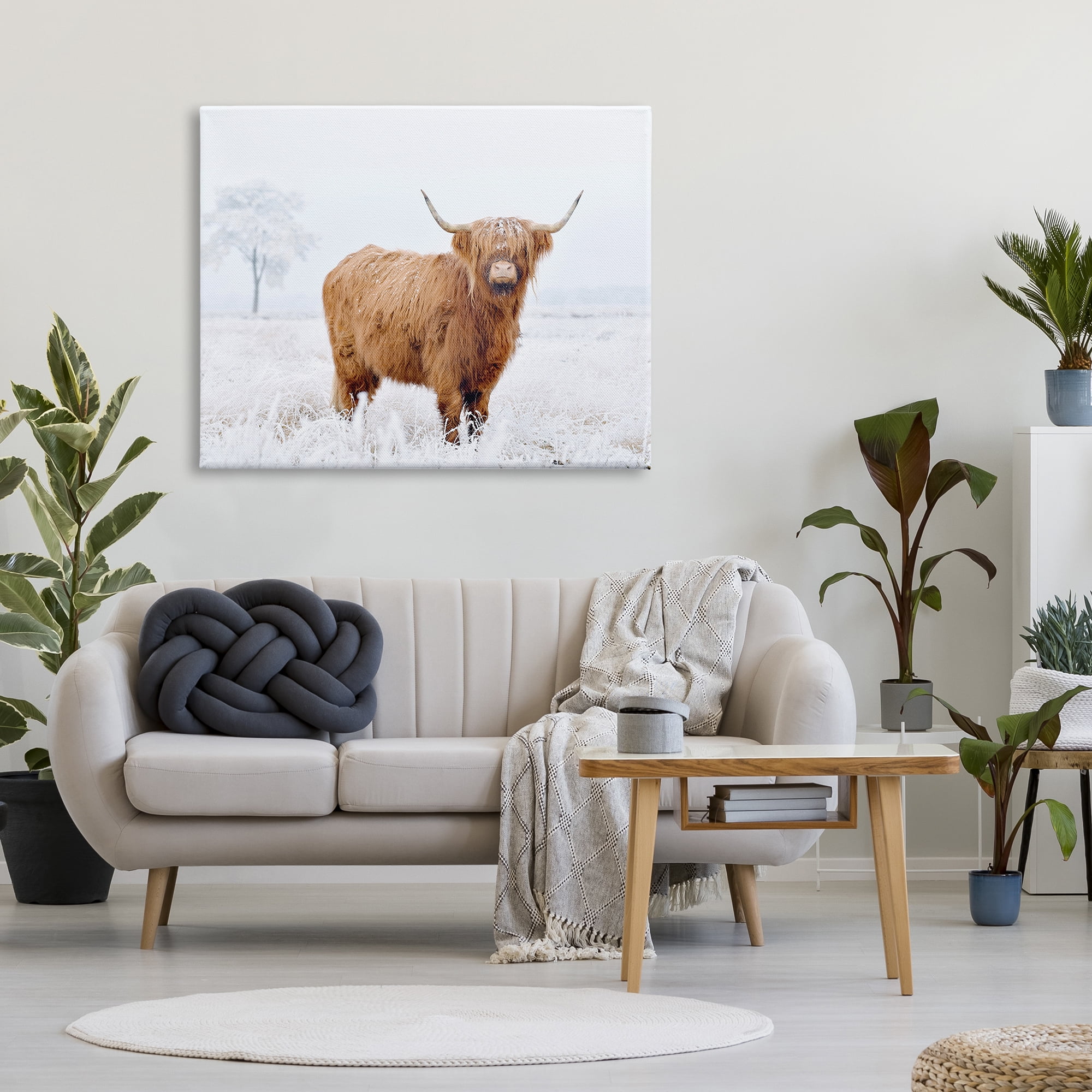 Stupell Industries Highland Cow in Snow Animals & Insects Photography Gallery Wrapped Canvas Art Print Wall Art, 48 x 36