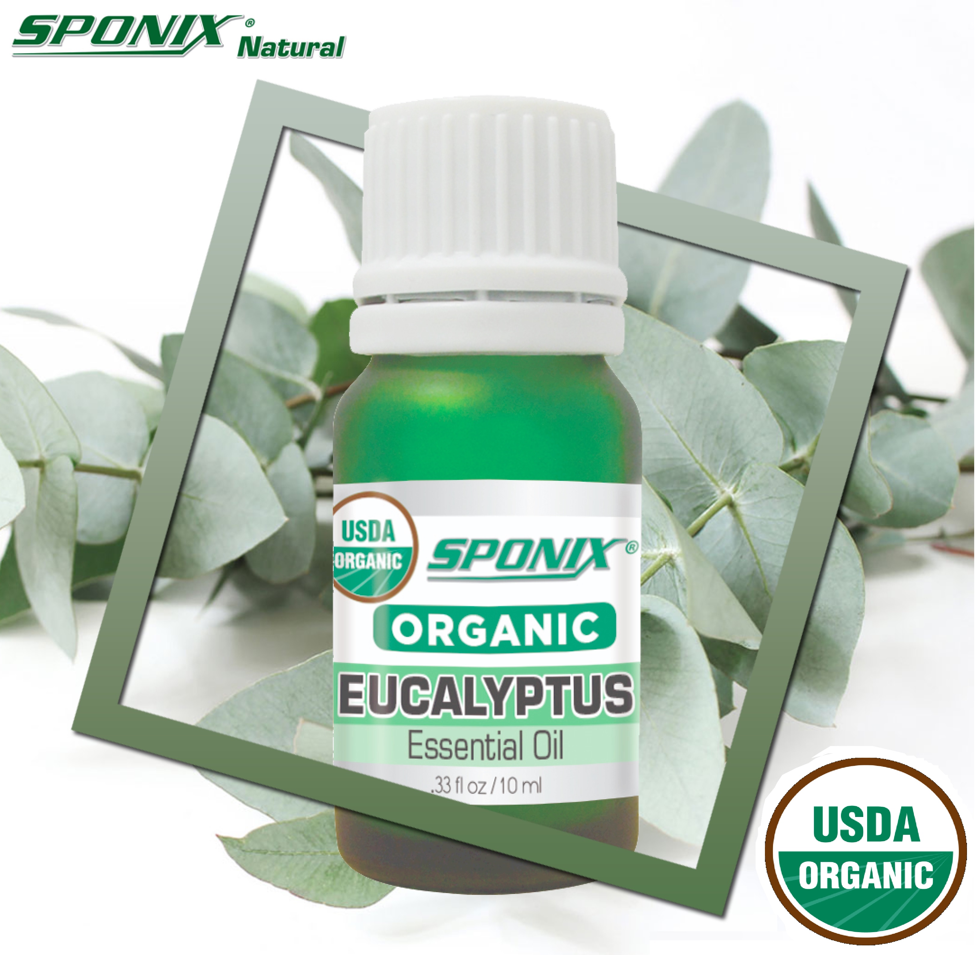 Eucalyptus Essential Oil Aromatherapy USDA Certified Organic Non