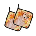 thumbnail image 1 of Carolines Treasures BB9975PTHD Labrador Retriever Automne Paire de Porte-Pots, 1 of 1