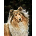 thumbnail image 2 of Silver, John 12x14 White Modern Wood Framed Museum Art Print Titled - Jsm25-A, 2 of 4