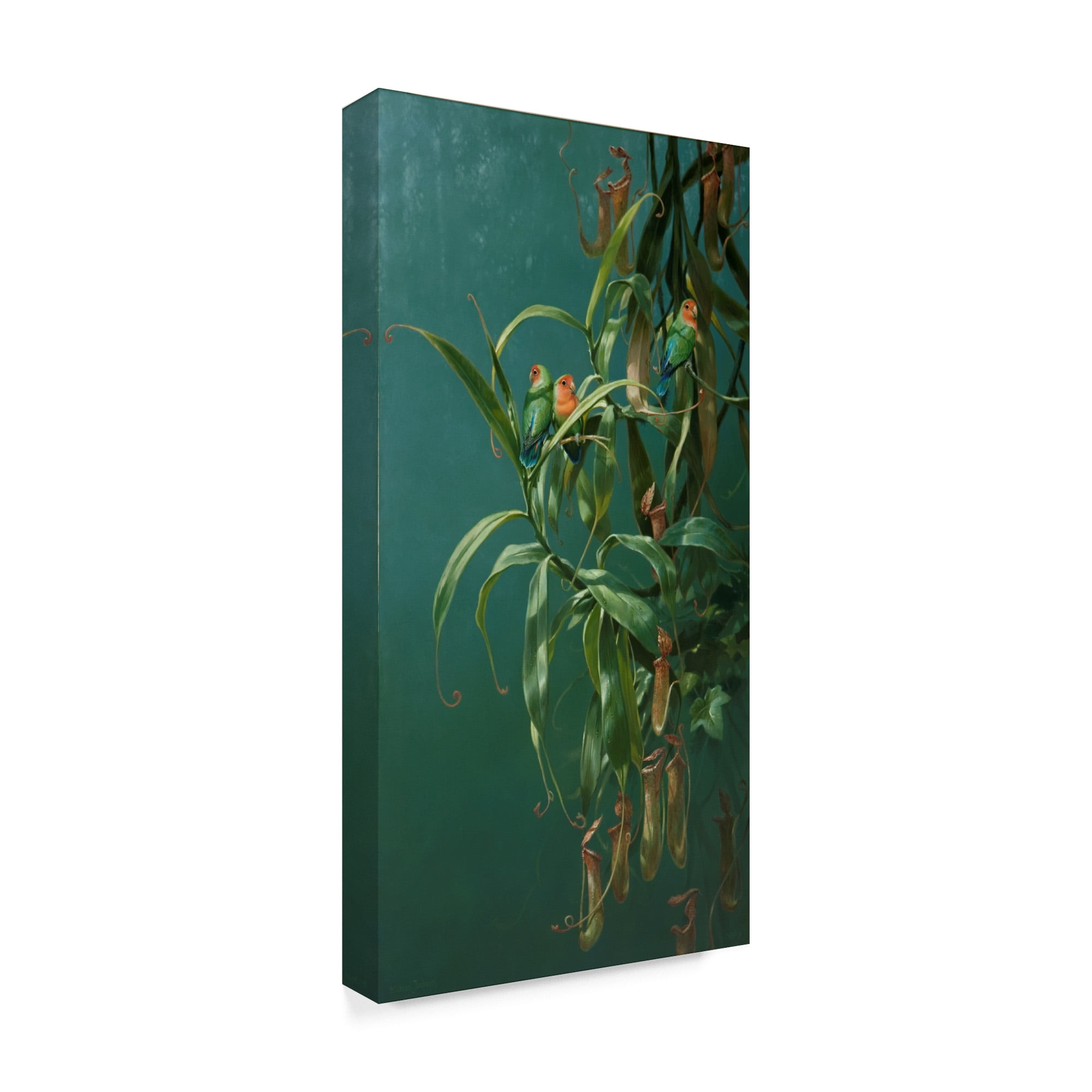 Trademark Fine Art 'Lovebirds 1' Canvas Art by Michael Jackson