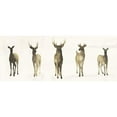 thumbnail image 3 of Popp, Grace 14x8 Black Modern Framed Museum Art Print Titled - Deer Herd I, 3 of 5