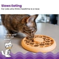 thumbnail image 2 of Catstages Cat Slow Feeder Bowl for Indoor Cats, Stimulating Treat Puzzle Toy, Dry or Wet Food, 1/2 Cup Capacity, One Size, Orange, 2 of 4