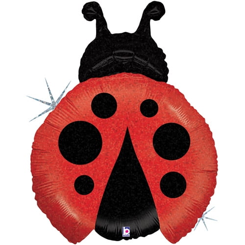 Ladybug 1st Balloons