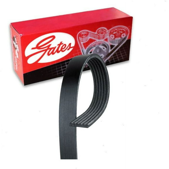 Gates Micro-V Serpentine Belt compatible with Mercedes-Benz C300 2.0L L4 2018