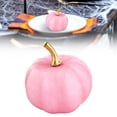 thumbnail image 2 of Mini Fall Pumpkin Decor,Artificial Pumpkins,Mini Vintage Pumpkin Harvest Lifelike Pumpkin,Fake Foam Pumpkin for Fall Autumn Halloween Home Party Supply Thanksgiving House Kitchen Decor, 2 of 6