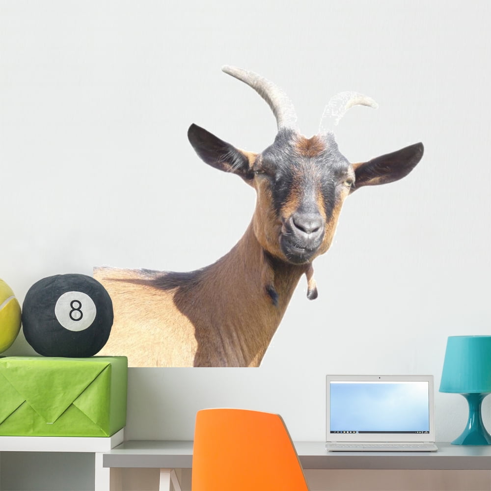 Goat Wall Decal by Wallmonkeys Peel and Stick Graphic (36 in W x 27 in