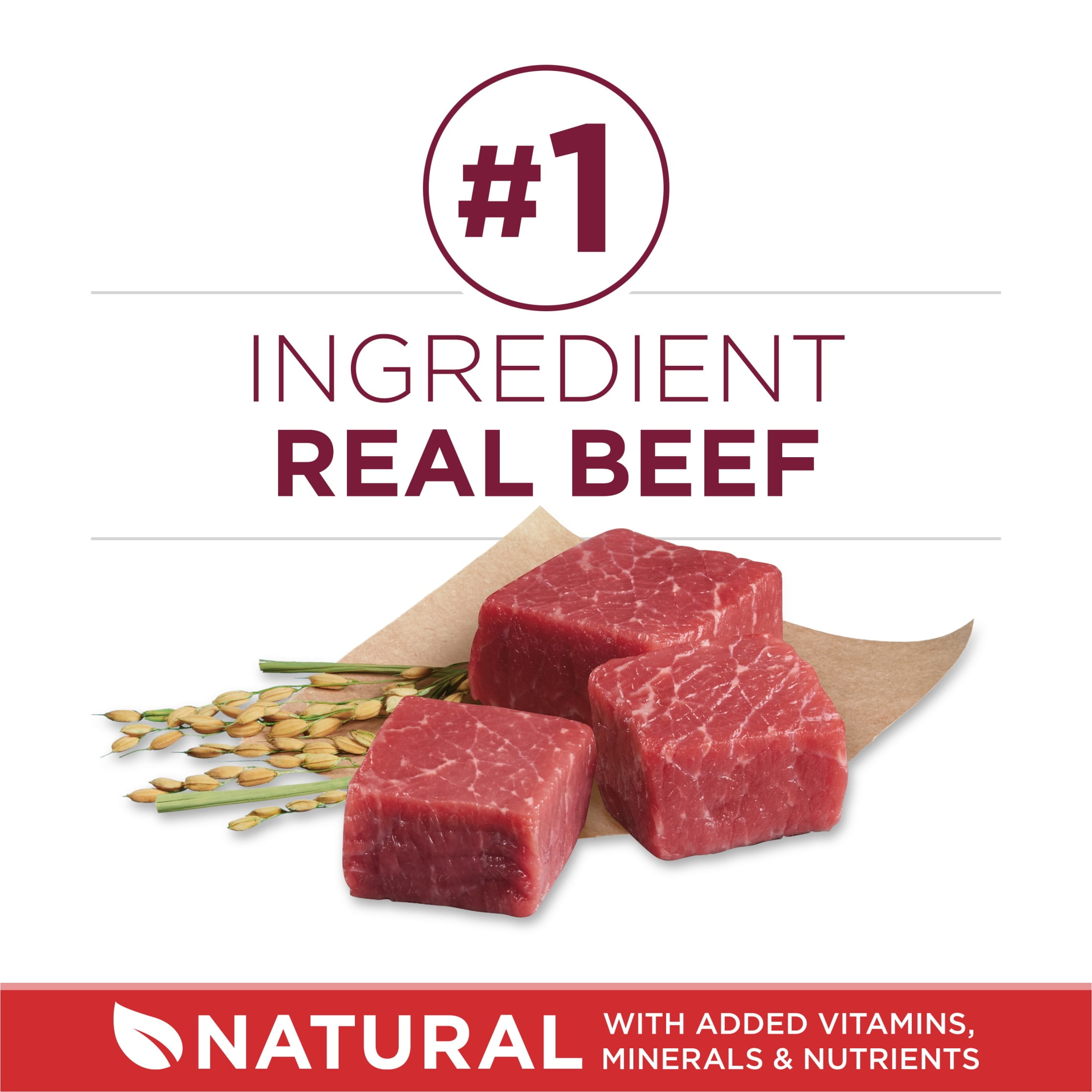 Purina ONE Small Bites Dry Dog Food for Adult Dogs with Added Vitamins & Minerals, High Protein Beef & Rice, 16.5 lb Bag