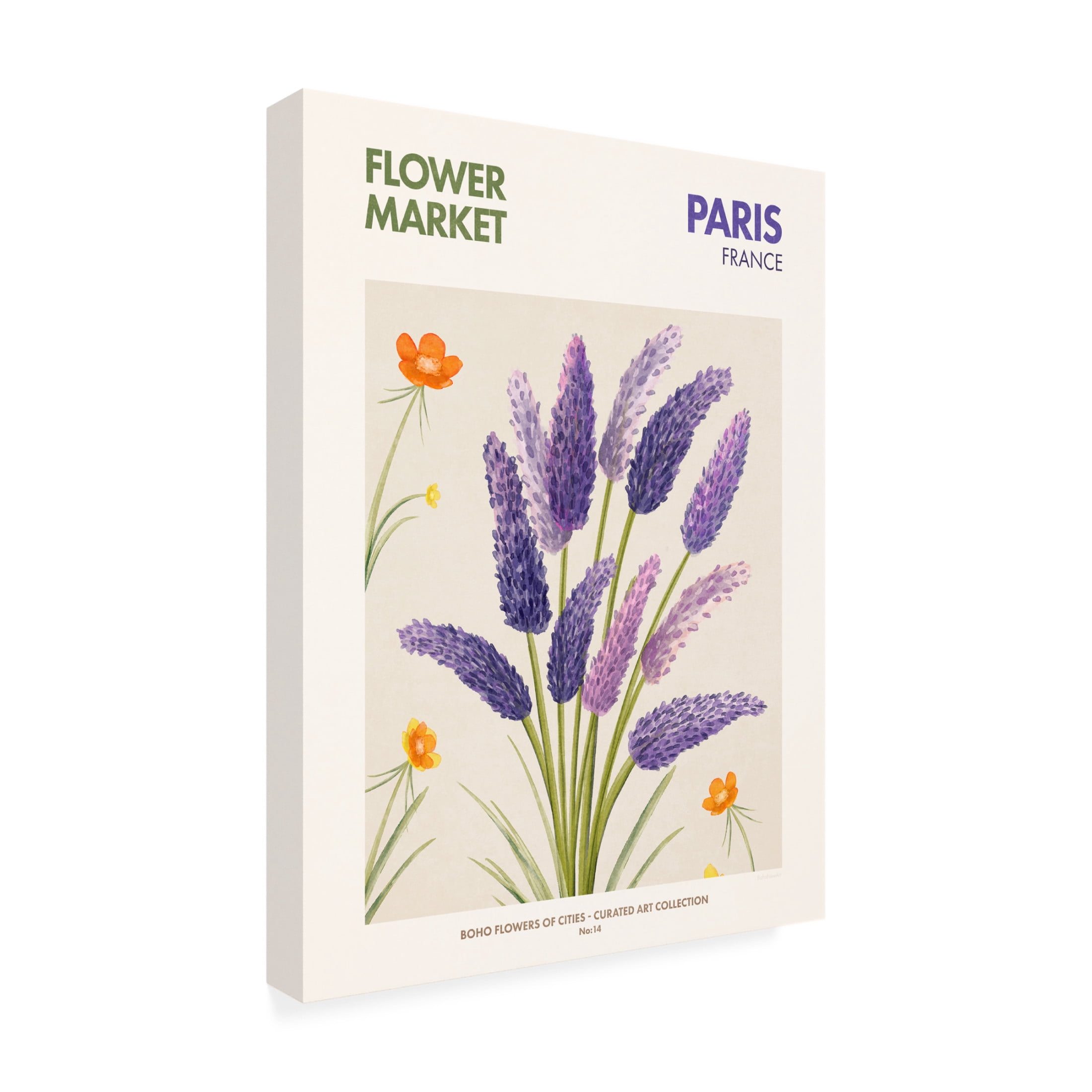 Trademark Fine Art Emel Tunaboylu  Paris Canvas Wall Art