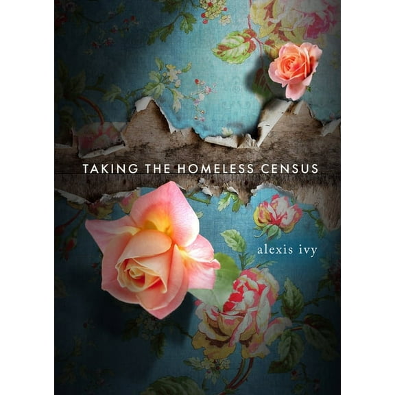 Taking the Homeless Census, (Paperback)