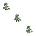 thumbnail image 3 of Bewildely Plantas De Terrario Tropical De Plástico - Frescura Y Elegancia Para El Hogar Plantas Decoraciones Artificiales Hoja De Pavo Real Type1 NO1, 3 of 6