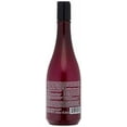 thumbnail image 2 of Agadir Hemp & Red Wine Moisturizing Shampoo 430ml 14.5oz, 2 of 3