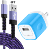 Purple and Blue 10FT