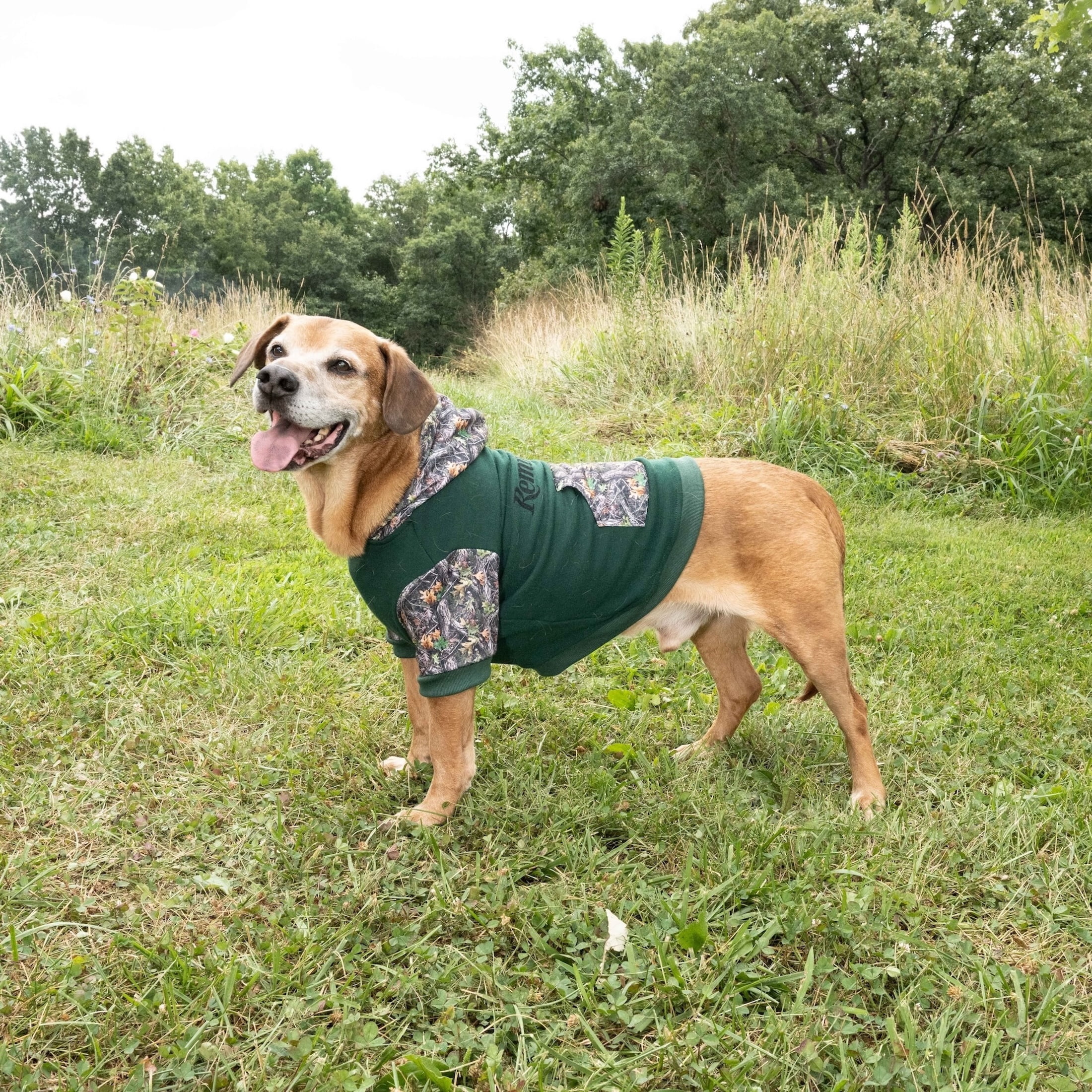 Remington Camo Logo Pet Hoodie for Dogs, Sage, Size M