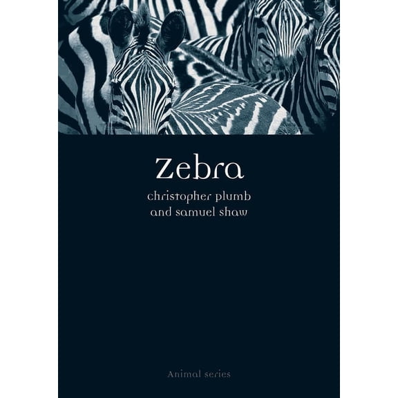 Animal: Zebra (Paperback)