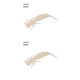 thumbnail image 1 of Eigraketly 10 Uds. De cebos de insectos de simulación, señuelos de pesca portátiles, cebos de pesca suaves reutilizables, cebos de plástico para Jigging Type1 NO1 Eigraketly CBP149418, 1 of 6