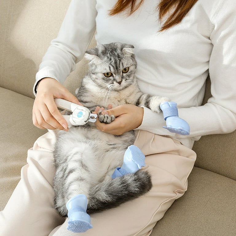 Cat and dog sale shoes