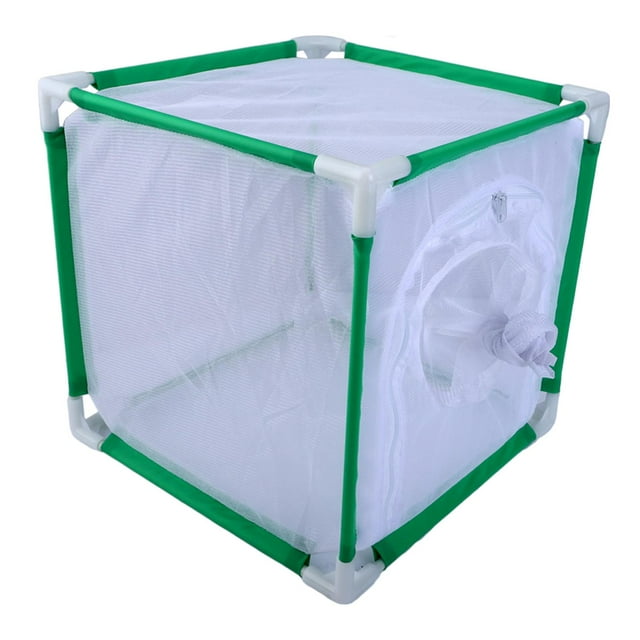 Jaula de malla para hábitat de mariposas , jaula ornamental desmontable, transpirable y multiusos, terrario para mariposas para granjas y patios traseros Verde