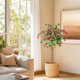 thumbnail image 1 of Artificial bougainvillea tree a 4ft de altura potted fake tree con wood trunk y rosa flowers para indoor y outdoor use, 1 of 5