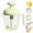 Green, variant on Multifunctional Egg Beater with Filter Cup, Practical Manual Egg Mixer with Scale Lines, Spill-Resistant Design for Efficiently Whisking Eggs and Batters in Kitchen Baking