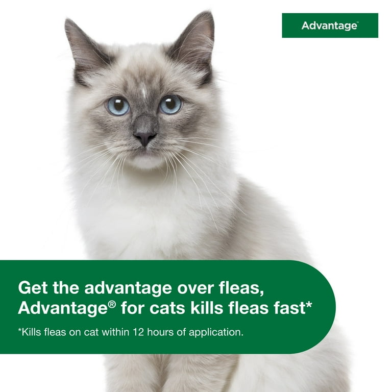 Advantage Topical Flea Prevention For Small Cats 2 9 Lbs 2 Monthly Treatments