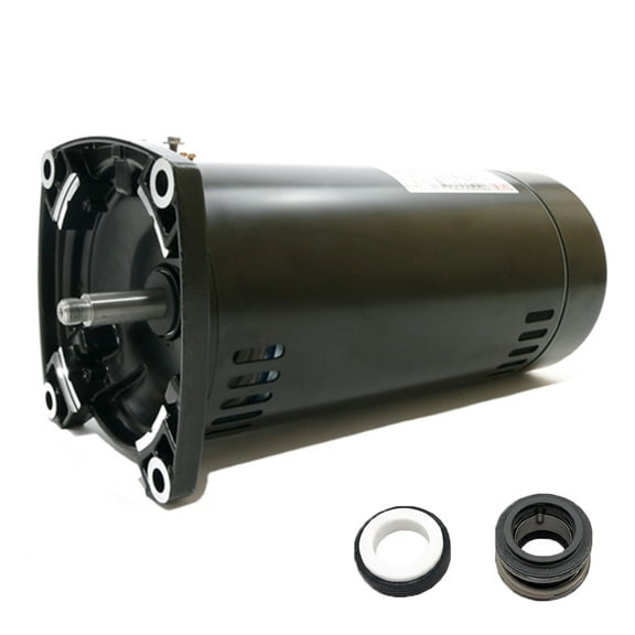 Puri Tech Swimming Pool Pump Motor and Seal Replacement Kit for 1.0hp Century USQ1102 Motor and PS-201 Seal