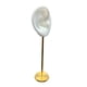 thumbnail image 4 of Expositores de pendientes duraderos, soporte para pendientes con forma de oreja, organizador de joyas para Blanco Derecha, 4 of 9