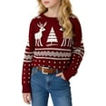 thumbnail image 4 of Toddler Cartoon Pullover Knit Sweater Reindeer Boys Year Fall Winter Knitwear, 4 of 4