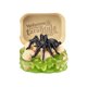 thumbnail image 3 of ZURU 5 Surprise Mega Gross Minis Mystery 5 Grossest Surprise Miniature Toys Ever!, 2 Pack, 3 of 5