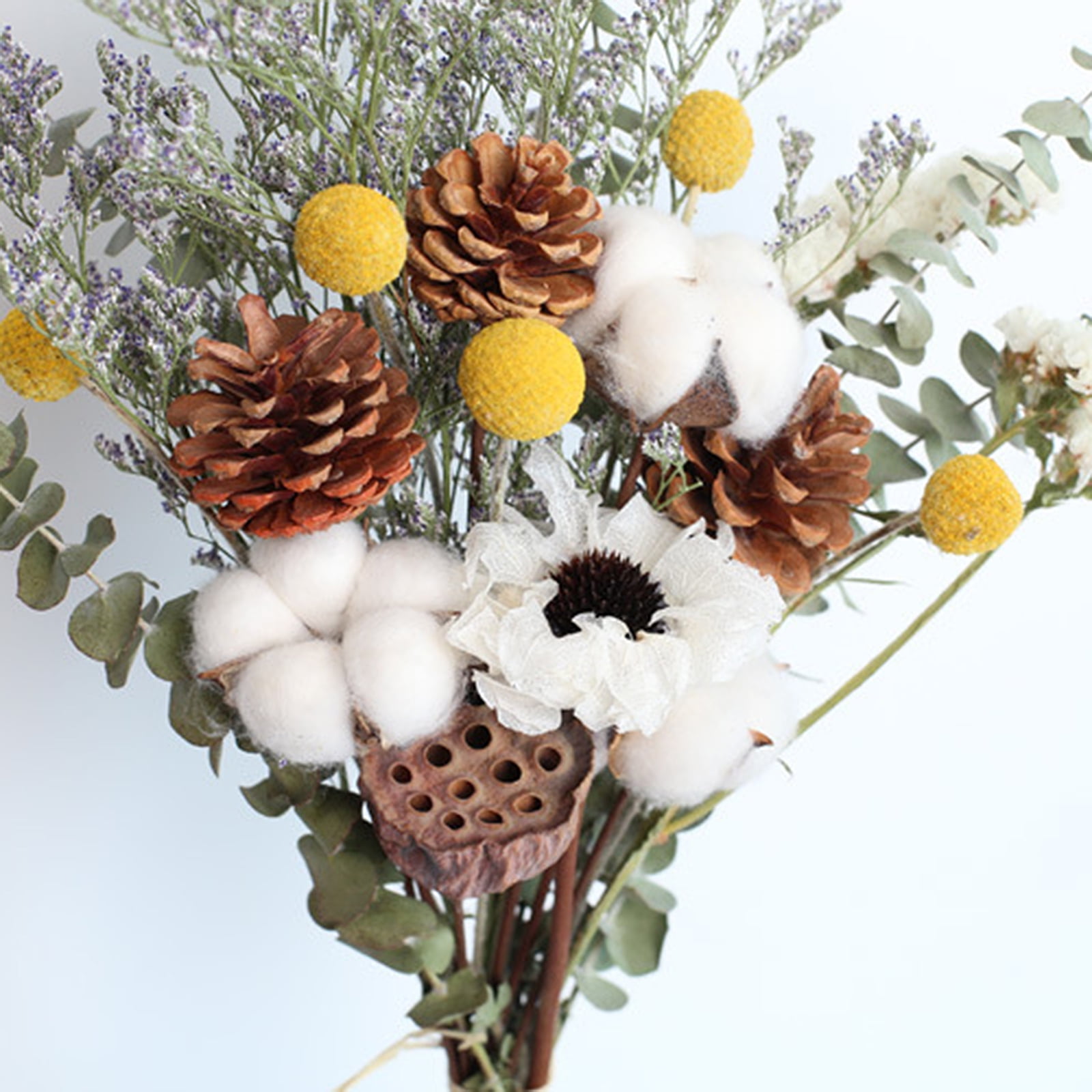 Cape white (natural) dried flowers, Length ± 40 cm, Available per bunch 