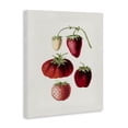 thumbnail image 3 of Stupell Industries French Country Natural Berries Study Canvas Art, 24 x 30, by Lettered and Lined, 3 of 8