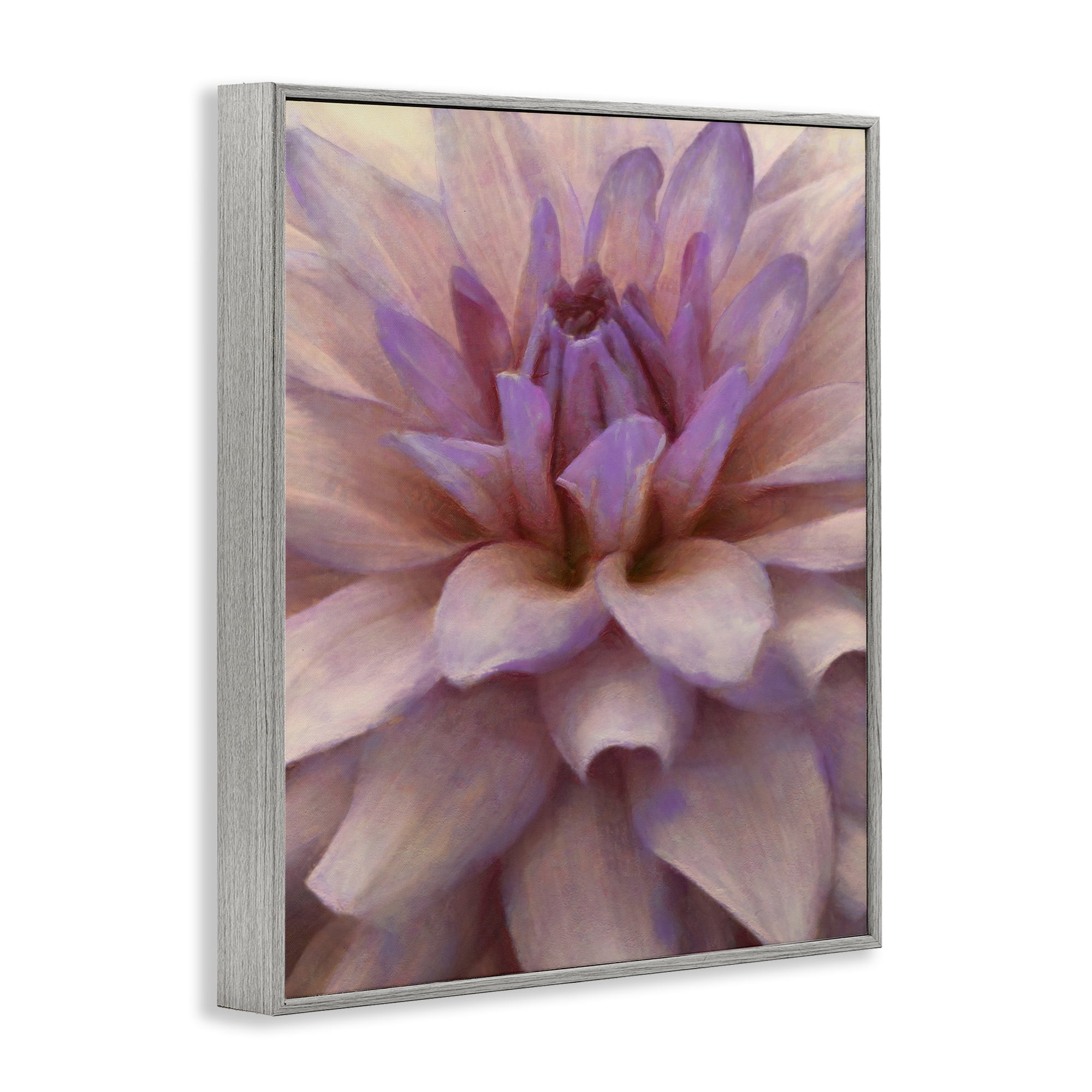 Stupell Industries Purple Dahlia Petals Botanical & Floral Painting Gray Framed Art Print Wall Art, 24 x 30