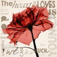thumbnail image 3 of Koetsier, Albert 20x20 Black Modern Framed Museum Art Print Titled - Red Rose Love, 3 of 5