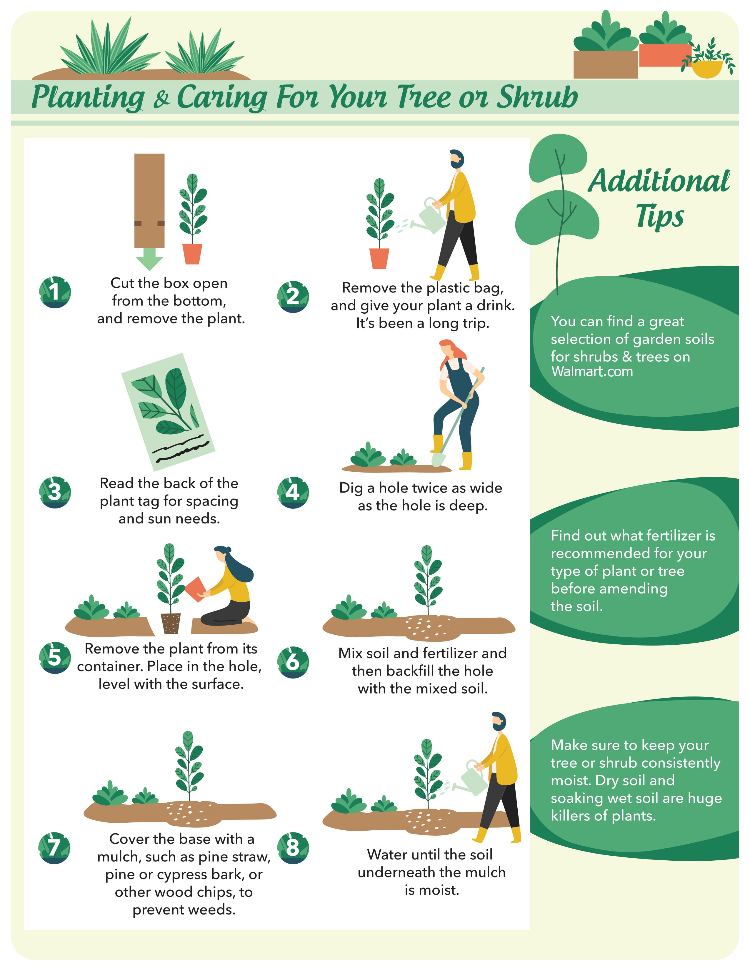 Imagen de producto 3