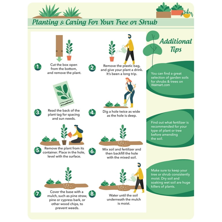 jasmineページ jasmine♡ Jasmine (@zx.jas.mine.xz) • Instagram photos and