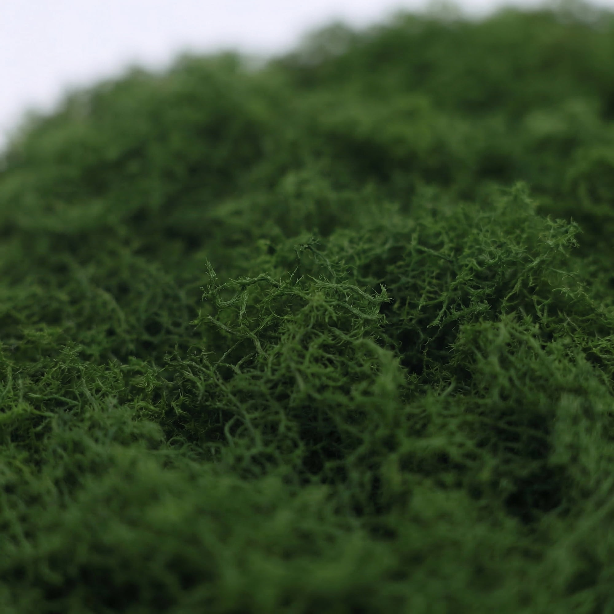 Unique Bargains Artificial Moss Fiber Realistic Grass for Fairy Garden in 50 g Dark Green