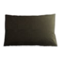 thumbnail image 1 of Ahgly Company Outdoor Rectangular Contemporary Lumbar Throw Pillow, 13 inch by 19 inch, 1 of 5